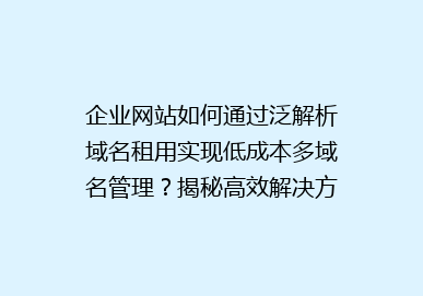 企业网站如何通过泛解析域名租用实现低成本多域名管理？揭秘高效解决方案！