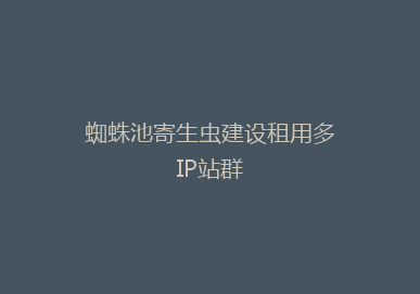 蜘蛛池寄生虫建设租用多IP站群
