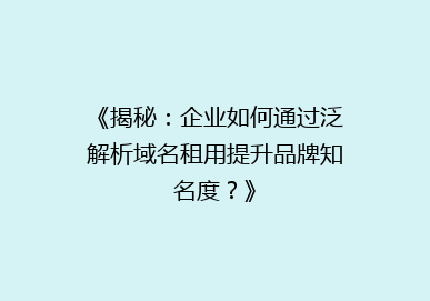 《揭秘：企业如何通过泛解析域名租用提升品牌知名度？》