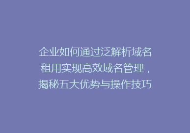 企业如何通过泛解析域名租用实现高效域名管理，揭秘五大优势与操作技巧！