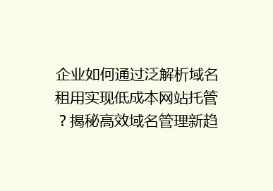 企业如何通过泛解析域名租用实现低成本网站托管？揭秘高效域名管理新趋势！