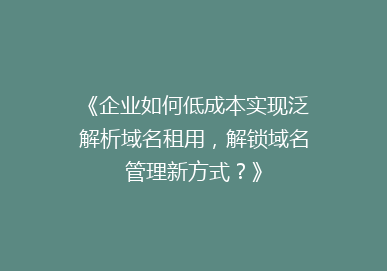 《企业如何低成本实现泛解析域名租用，解锁域名管理新方式？》