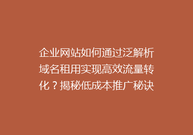 企业网站如何通过泛解析域名租用实现高效流量转化？揭秘低成本推广秘诀！
