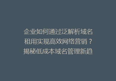 企业如何通过泛解析域名租用实现高效网络营销？揭秘低成本域名管理新趋势！