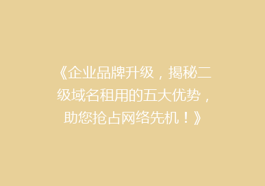 《企业品牌升级，揭秘二级域名租用的五大优势，助您抢占网络先机！》