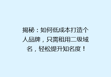 揭秘：如何低成本打造个人品牌，只需租用二级域名，轻松提升知名度！