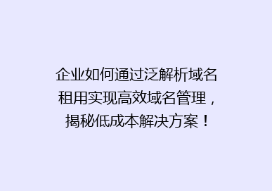 企业如何通过泛解析域名租用实现高效域名管理，揭秘低成本解决方案！