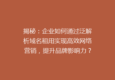 揭秘：企业如何通过泛解析域名租用实现高效网络营销，提升品牌影响力？
