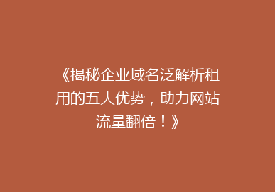 《揭秘企业域名泛解析租用的五大优势，助力网站流量翻倍！》