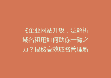 《企业网站升级，泛解析域名租用如何助你一臂之力？揭秘高效域名管理新趋势》