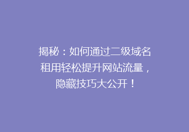 揭秘：如何通过二级域名租用轻松提升网站流量，隐藏技巧大公开！