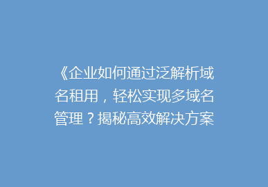 《企业如何通过泛解析域名租用，轻松实现多域名管理？揭秘高效解决方案》
