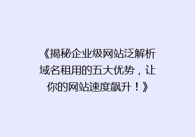 《揭秘企业级网站泛解析域名租用的五大优势，让你的网站速度飙升！》