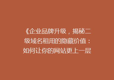 《企业品牌升级，揭秘二级域名租用的隐藏价值：如何让你的网站更上一层楼？》