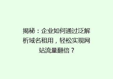 揭秘：企业如何通过泛解析域名租用，轻松实现网站流量翻倍？
