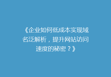 《企业如何低成本实现域名泛解析，提升网站访问速度的秘密？》
