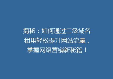 揭秘：如何通过二级域名租用轻松提升网站流量，掌握网络营销新秘籍！