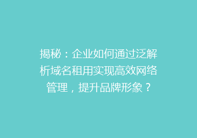 揭秘：企业如何通过泛解析域名租用实现高效网络管理，提升品牌形象？