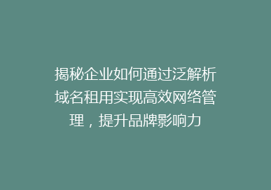 揭秘企业如何通过泛解析域名租用实现高效网络管理，提升品牌影响力