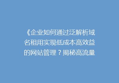 《企业如何通过泛解析域名租用实现低成本高效益的网站管理？揭秘高流量网站的秘诀！》