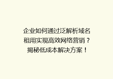 企业如何通过泛解析域名租用实现高效网络营销？揭秘低成本解决方案！