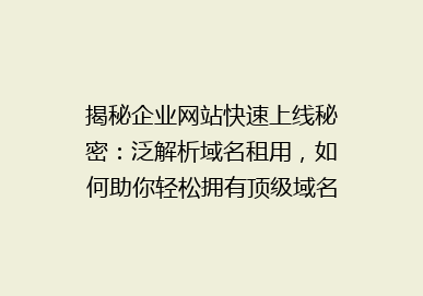 揭秘企业网站快速上线秘密：泛解析域名租用，如何助你轻松拥有顶级域名服务？