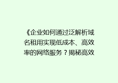 《企业如何通过泛解析域名租用实现低成本、高效率的网络服务？揭秘高效域名管理新趋势》