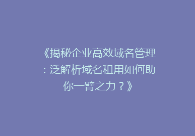 《揭秘企业高效域名管理：泛解析域名租用如何助你一臂之力？》