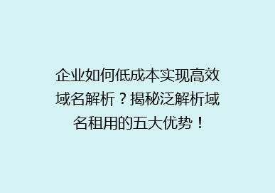 企业如何低成本实现高效域名解析？揭秘泛解析域名租用的五大优势！