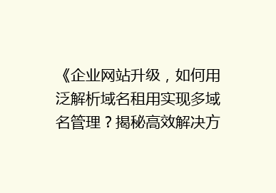 《企业网站升级，如何用泛解析域名租用实现多域名管理？揭秘高效解决方案》
