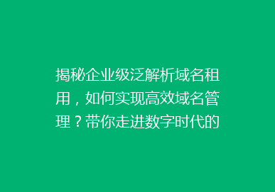 揭秘企业级泛解析域名租用，如何实现高效域名管理？带你走进数字时代的新选择！