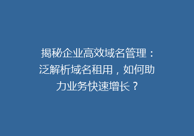 揭秘企业高效域名管理：泛解析域名租用，如何助力业务快速增长？