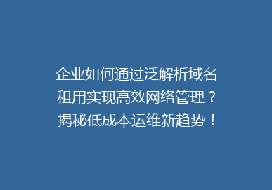 企业如何通过泛解析域名租用实现高效网络管理？揭秘低成本运维新趋势！