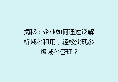 揭秘：企业如何通过泛解析域名租用，轻松实现多级域名管理？