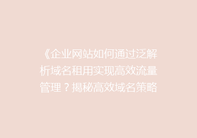 《企业网站如何通过泛解析域名租用实现高效流量管理？揭秘高效域名策略》