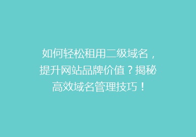如何轻松租用二级域名，提升网站品牌价值？揭秘高效域名管理技巧！
