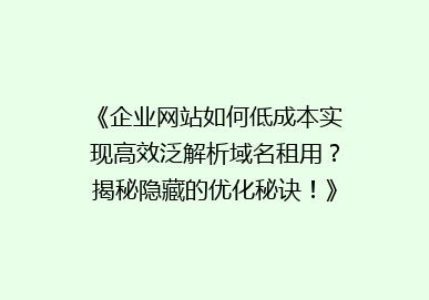 《企业网站如何低成本实现高效泛解析域名租用？揭秘隐藏的优化秘诀！》
