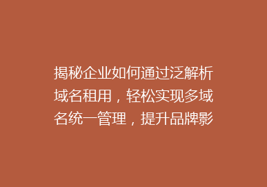 揭秘企业如何通过泛解析域名租用，轻松实现多域名统一管理，提升品牌影响力！
