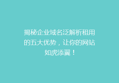 揭秘企业域名泛解析租用的五大优势，让你的网站如虎添翼！