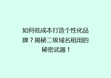 如何低成本打造个性化品牌？揭秘二级域名租用的秘密武器！