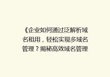 《企业如何通过泛解析域名租用，轻松实现多域名管理？揭秘高效域名管理新趋势》