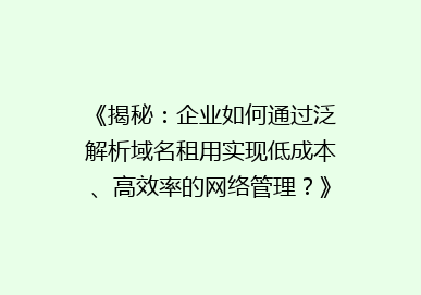 《揭秘：企业如何通过泛解析域名租用实现低成本、高效率的网络管理？》