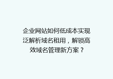 企业网站如何低成本实现泛解析域名租用，解锁高效域名管理新方案？