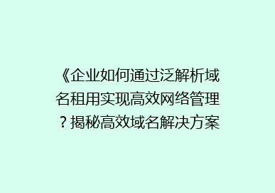 《企业如何通过泛解析域名租用实现高效网络管理？揭秘高效域名解决方案》