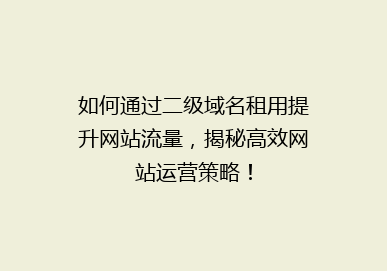 如何通过二级域名租用提升网站流量，揭秘高效网站运营策略！