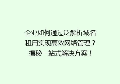 企业如何通过泛解析域名租用实现高效网络管理？揭秘一站式解决方案！