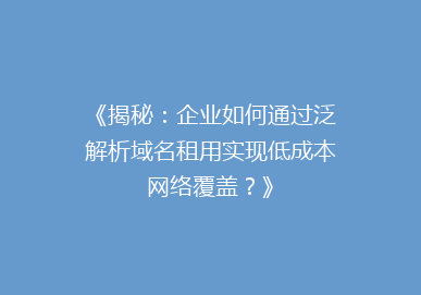 《揭秘：企业如何通过泛解析域名租用实现低成本网络覆盖？》