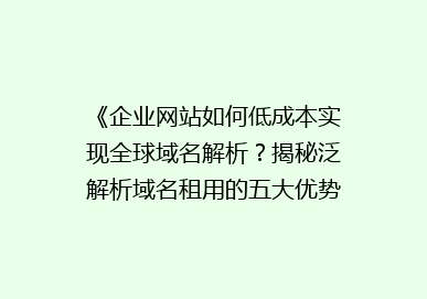 《企业网站如何低成本实现全球域名解析？揭秘泛解析域名租用的五大优势》