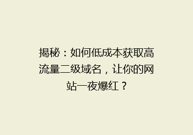 揭秘：如何低成本获取高流量二级域名，让你的网站一夜爆红？