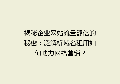 揭秘企业网站流量翻倍的秘密：泛解析域名租用如何助力网络营销？